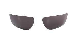 SGL200 Safety Glass Gray Lenses